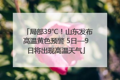 局部39℃！山东发布高温黄色预警 5日—9日将出现高温天气