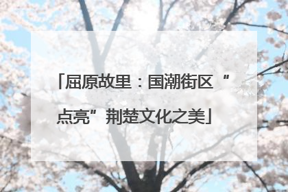 屈原故里：国潮街区“点亮”荆楚文化之美