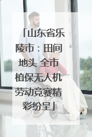 山东省乐陵市：田间地头 全市植保无人机劳动竞赛精彩纷呈
