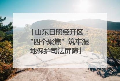 山东日照经开区：“四个聚焦”筑牢湿地保护司法屏障