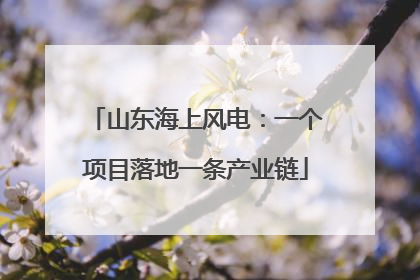 山东海上风电：一个项目落地一条产业链