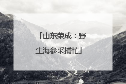 山东荣成：野生海参采捕忙