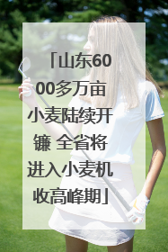 山东6000多万亩小麦陆续开镰 全省将进入小麦机收高峰期
