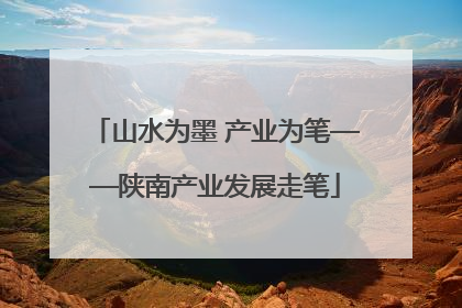 山水为墨 产业为笔——陕南产业发展走笔