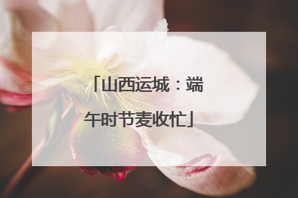 山西运城：端午时节麦收忙