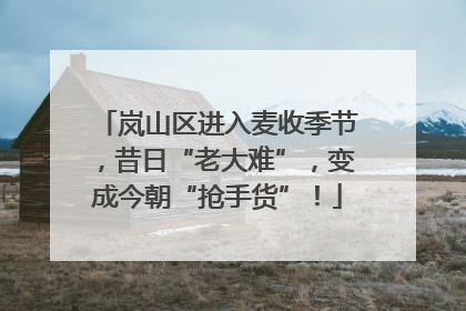 岚山区进入麦收季节，昔日“老大难”，变成今朝“抢手货”！