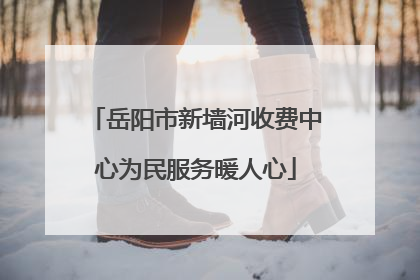 岳阳市新墙河收费中心为民服务暖人心