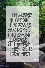 峰林聚智 科创兴张丨张家界旅典文化经营有限公司博士创新站：让土家织锦“智”造出非遗新传奇