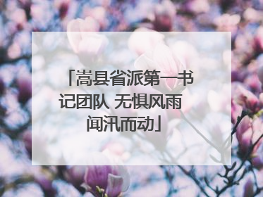 嵩县省派第一书记团队 无惧风雨 闻汛而动