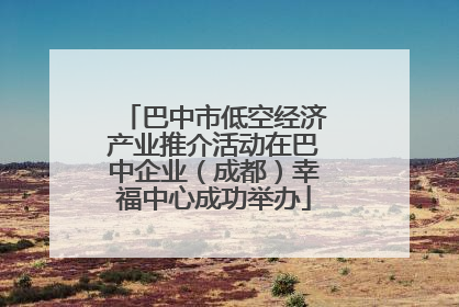 巴中市低空经济产业推介活动在巴中企业（成都）幸福中心成功举办