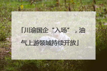 川渝国企“入场”，油气上游领域持续开放