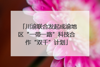 川渝联合发起成渝地区“一带一路”科技合作“双千”计划