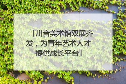 川音美术馆双展齐发，为青年艺术人才提供成长平台