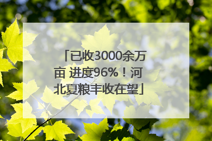 已收3000余万亩 进度96%！河北夏粮丰收在望