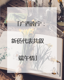广西南宁：新侨代表共叙端午情
