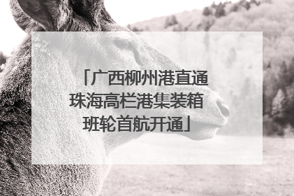 广西柳州港直通珠海高栏港集装箱班轮首航开通