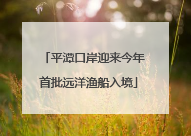 平潭口岸迎来今年首批远洋渔船入境