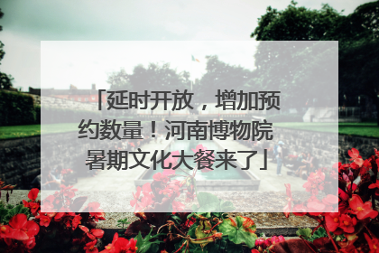 延时开放，增加预约数量！河南博物院暑期文化大餐来了