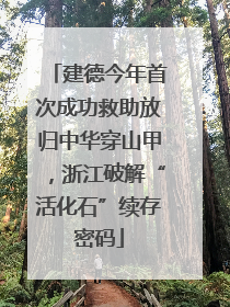 建德今年首次成功救助放归中华穿山甲，浙江破解“活化石”续存密码