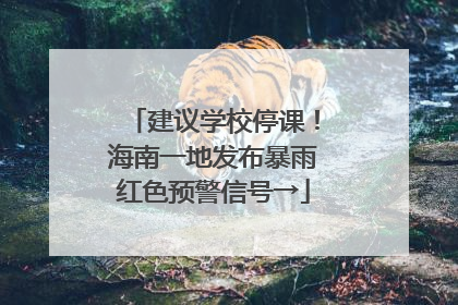 建议学校停课！海南一地发布暴雨红色预警信号→