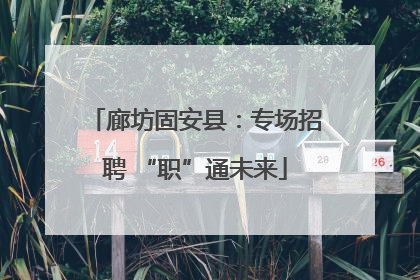 廊坊固安县：专场招聘 “职”通未来