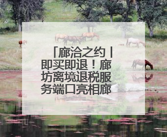 廊洽之约丨即买即退！廊坊离境退税服务端口亮相廊坊经洽会