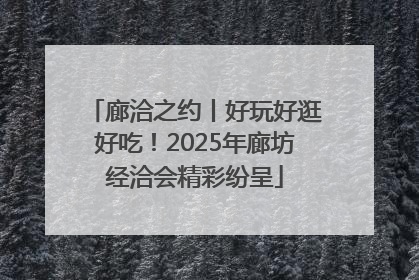 廊洽之约丨好玩好逛好吃！2025年廊坊经洽会精彩纷呈