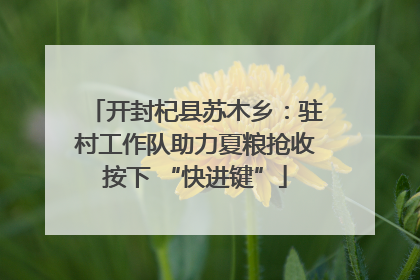 开封杞县苏木乡：驻村工作队助力夏粮抢收按下 “快进键”