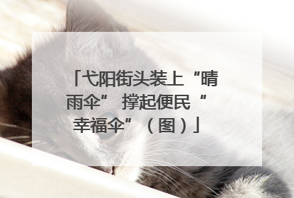 弋阳街头装上“晴雨伞” 撑起便民“幸福伞”（图）