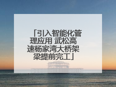 引入智能化管理应用 武松高速杨家湾大桥架梁提前完工