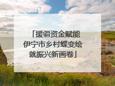 援疆资金赋能 伊宁市乡村蝶变绘就振兴新画卷