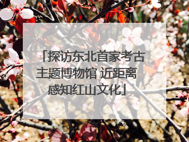 探访东北首家考古主题博物馆 近距离感知红山文化