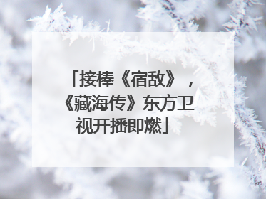 接棒《宿敌》，《藏海传》东方卫视开播即燃