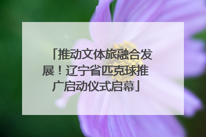 推动文体旅融合发展！辽宁省匹克球推广启动仪式启幕