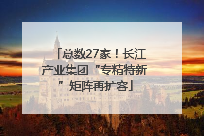 总数27家！长江产业集团“专精特新”矩阵再扩容