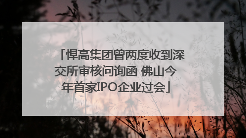 悍高集团曾两度收到深交所审核问询函 佛山今年首家IPO企业过会