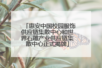 惠安中国校园服饰供应链集散中心和世界石雕产业供应链集散中心正式揭牌