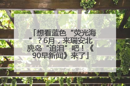想看蓝色“荧光海”？6月，来瑞安北麂岛“追泪”吧！《90早新闻》来了