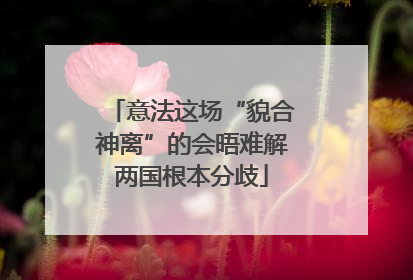 意法这场“貌合神离”的会晤难解两国根本分歧