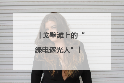 戈壁滩上的“绿电逐光人”