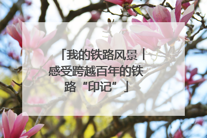 我的铁路风景︱感受跨越百年的铁路“印记”