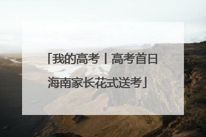 我的高考丨高考首日 海南家长花式送考