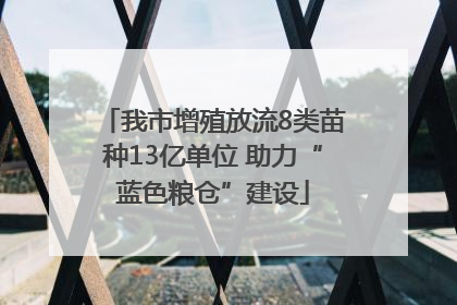 我市增殖放流8类苗种13亿单位 助力“蓝色粮仓”建设