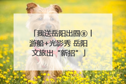 我送岳阳出圈⑧丨游船+光影秀 岳阳文旅出“新招”