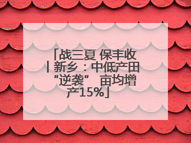 战三夏 保丰收丨新乡：中低产田“逆袭” 亩均增产15%