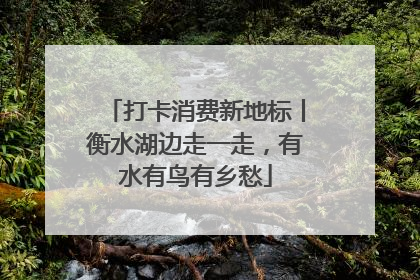 打卡消费新地标丨衡水湖边走一走，有水有鸟有乡愁
