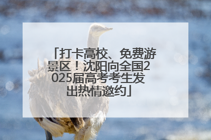 打卡高校、免费游景区！沈阳向全国2025届高考考生发出热情邀约
