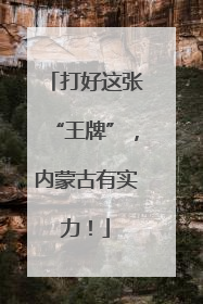 打好这张“王牌”，内蒙古有实力！