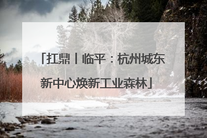 扛鼎丨临平：杭州城东新中心焕新工业森林