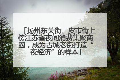 扬州东关街、皮市街上榜江苏省夜间消费集聚商圈，成为古城老街打造“夜经济”的样本